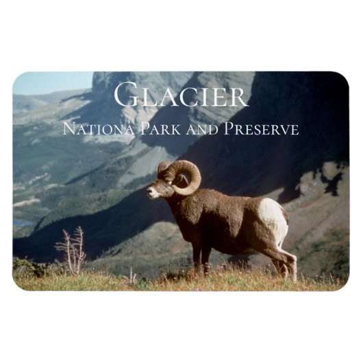 Glacier National Park, MT Magnet (Horizontal)