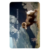 Glacier National Park, MT Magnet (Vertikal)