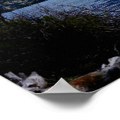 Glacier National Park Szenen Poster (Ecke)