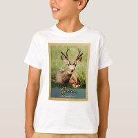 Glacier National Park Vintage Travel Dez