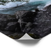 Glacier National Park Woodland Stream Foto Poster (Ecke)