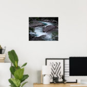 Glacier National Park Woodland Stream Foto Poster (Heimbüro)
