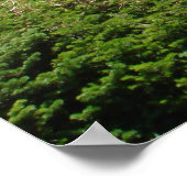 Glacier Park - Auf der Sun Road Poster (Ecke)