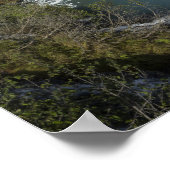 Glacier Quest Poster (Ecke)