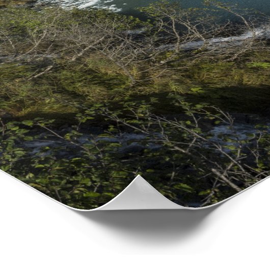 Glacier Quest Poster (Ecke)