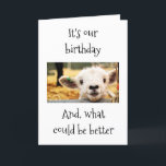 GLAD I WAWING ALT MIT "YOU" AGE SPASS FRIEND KARTE<br><div class="desc">**GLÜCKLICHER GEGENSEITIGER GEBURTSTAG** SAGT DIESES SCHNELLE LAMB!!!! UND VIELLEICHT FÜGE ICH HINZU: "ICH BIN GLÜCKLICH,  DASS ICH MIT DIR ÄLTER WERDE"</div>