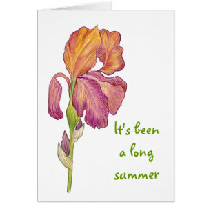Glad you are back card