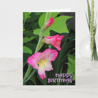 Gladiola Geburtstag 3 Karte