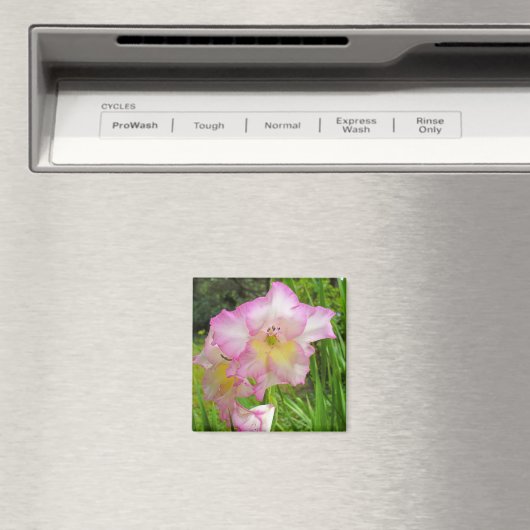 Gladiola-Magnet Magnet (In Situ (Geschirrspüler))