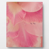 Gladiola Petals Fotoplatte (Vorderseite)