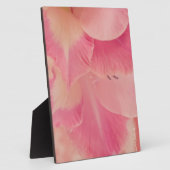 Gladiola Petals Fotoplatte (Seite)