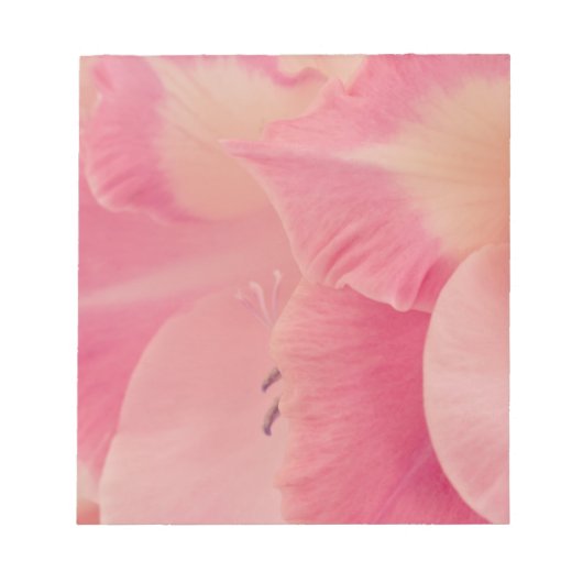 Gladiola Petals Notizblock (Vorderseite)