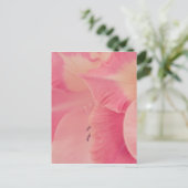 Gladiola Petals Postkarte (Stehend Vorderseite)