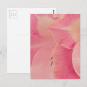Gladiola Petals Postkarte (Vorne/Hinten)