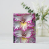 Gladiola Schönheit            Postkarte (Stehend Vorderseite)