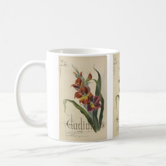 Gladiola von Paul Jerrard Kaffeetasse (Links)