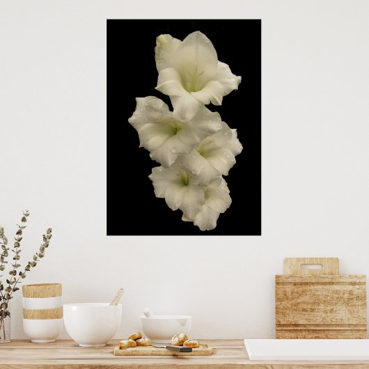 Gladiolas Poster (Küche)