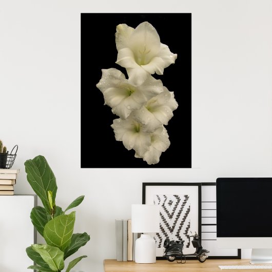 Gladiolas Poster (Heimbüro)