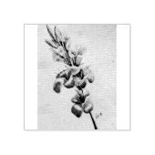 Gladiolas von meiner Mama Gummistempel (Prägung)