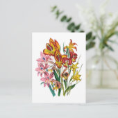 Gladiolen Postkarte (Stehend Vorderseite)