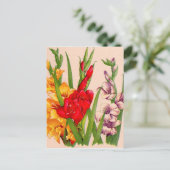 Gladioli-Blume Gladioli-Blume Postkarte (Stehend Vorderseite)