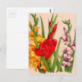 Gladioli-Blume Gladioli-Blume Postkarte (Vorne/Hinten)