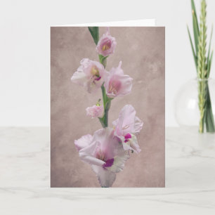 Gladioli flower card karte
