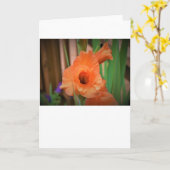 Gladioli, Karte (Gelbe Blume)