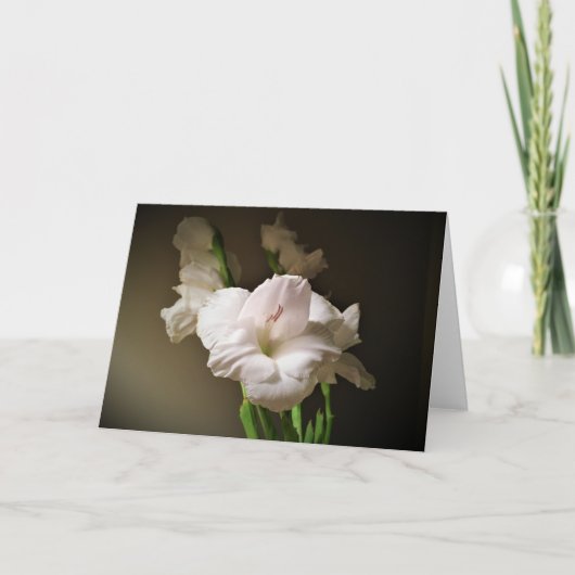 Gladioli, Karte (Vorderseite)