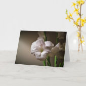 Gladioli, Karte (Gelbe Blume)