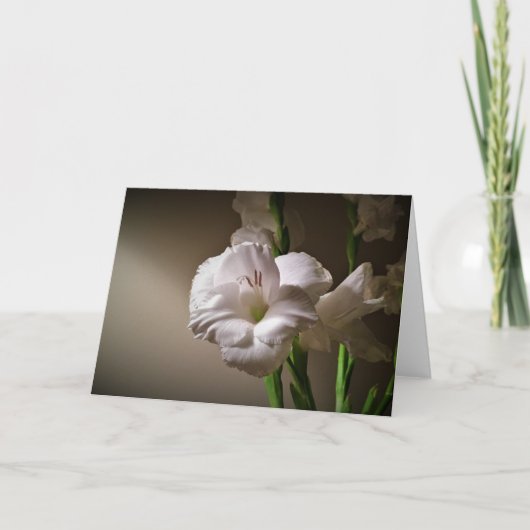 Gladioli, Karte (Vorderseite)