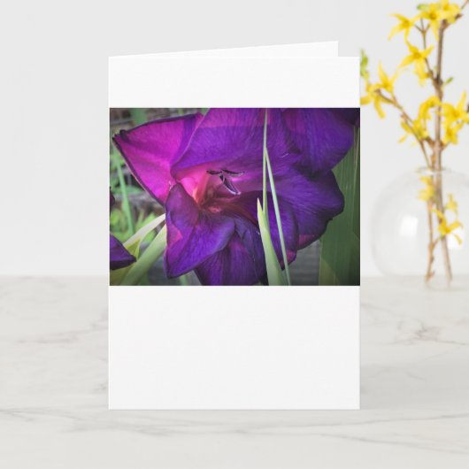 Gladioli, Karte (Gelbe Blume)