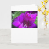 Gladioli, Karte (Gelbe Blume)