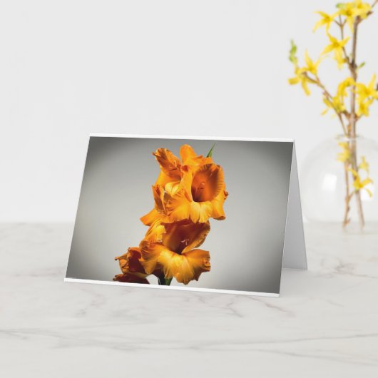 Gladioli, Karte (Gelbe Blume)