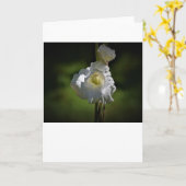 Gladioli, Karte (Gelbe Blume)