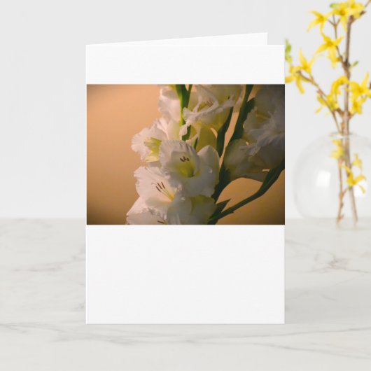 Gladioli, Karte (Gelbe Blume)