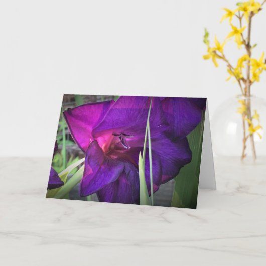 Gladioli, Karte (Gelbe Blume)