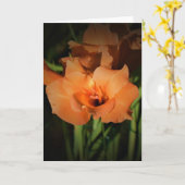 Gladioli, Karte (Gelbe Blume)