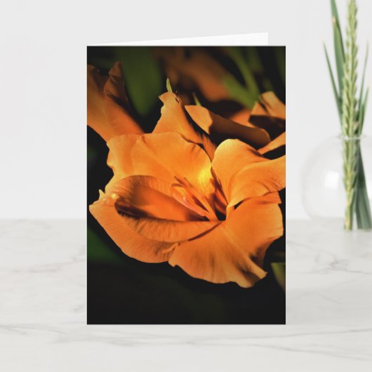 Gladioli, Karte (Vorderseite)