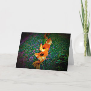 Gladioli, Karte