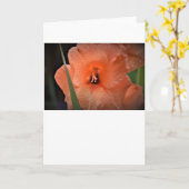 Gladioli, Karte (Gelbe Blume)