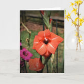 Gladioli, Karte (Gelbe Blume)