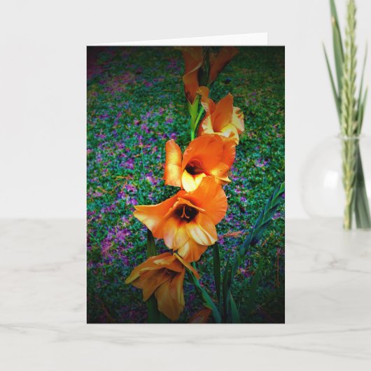 Gladioli, Karte (Vorderseite)