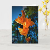 Gladioli, Karte (Gelbe Blume)