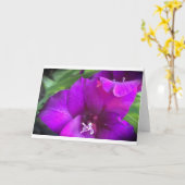 Gladioli, Karte (Gelbe Blume)