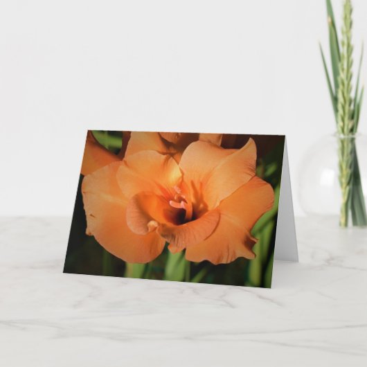 Gladioli, Karte (Vorderseite)