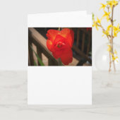 Gladioli, Karte (Gelbe Blume)