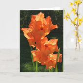 Gladioli, Karte (Gelbe Blume)