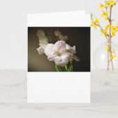 Gladioli, Karte (Gelbe Blume)
