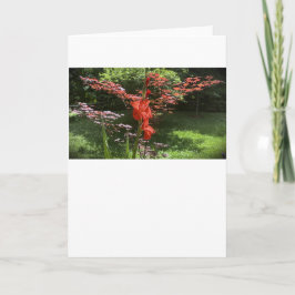 Gladioli, Karte